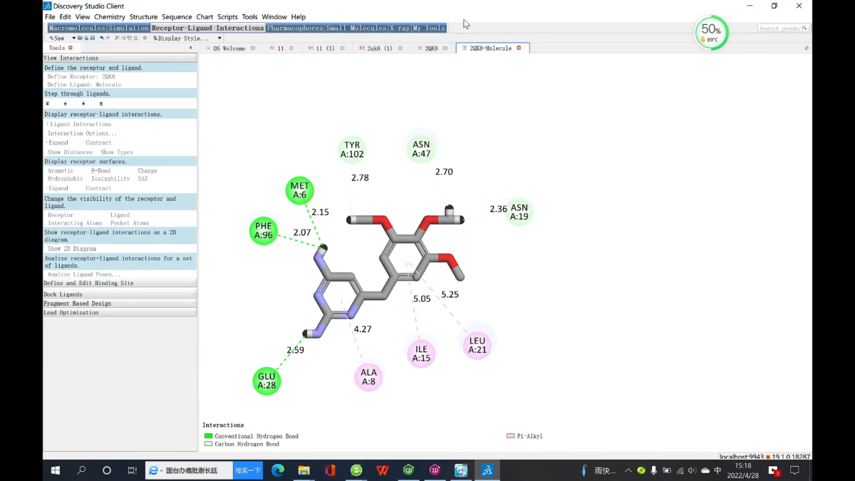 BIOVIA Discovery Studio软件界面6