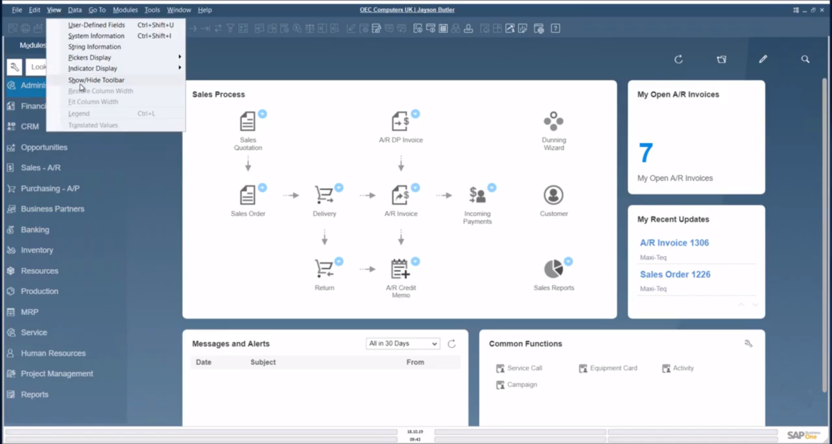 SAP Business One软件界面 (1)